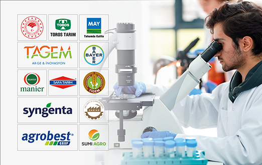Collaborations and Research