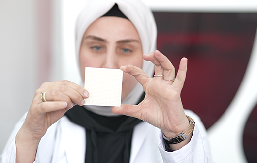 Admission Requirements for the Doctoral Programme