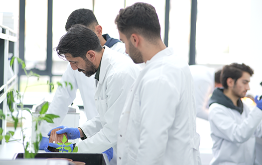 Plant Diseases Lab.